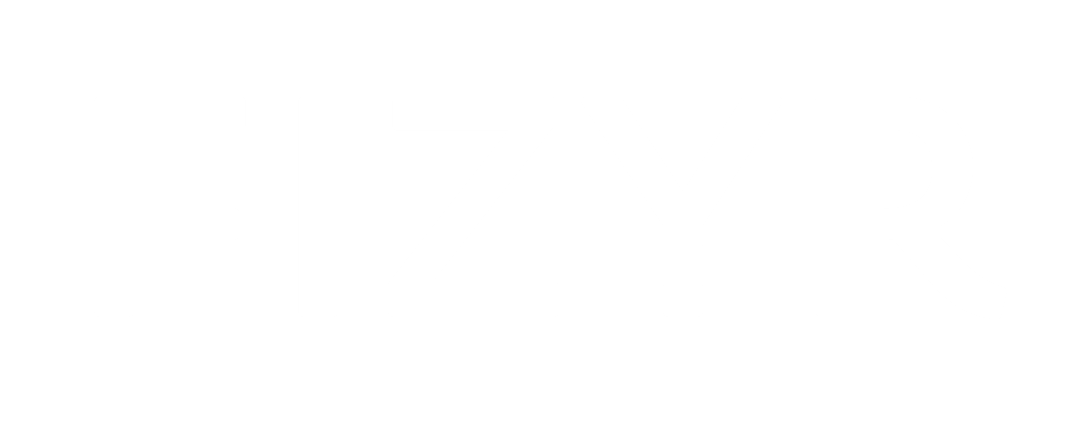 Fizyr Logo