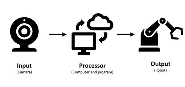Input, processor and output